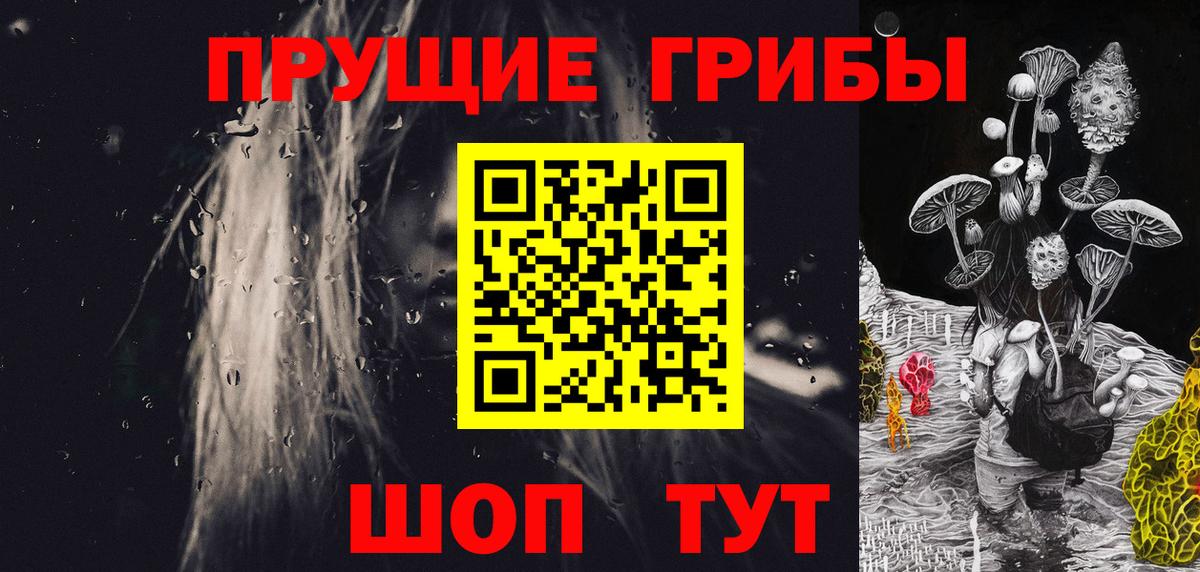 Анжеро-Судженск  закладки  Вход с VPN  Галлюциногенные грибы мицелий 